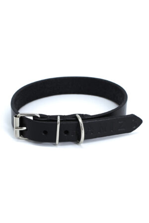 ARCHIE leather dog collar - Black - BANIZS