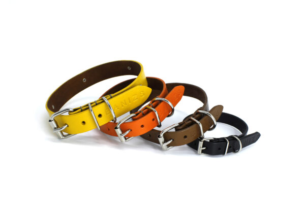 Leather dog collars in various colors - BANIZS