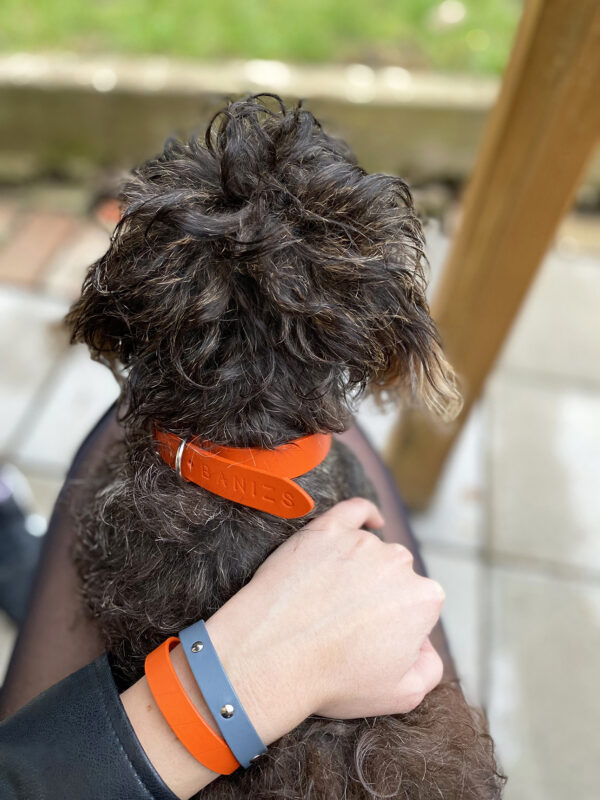 MAJA dog collar - Orange, HELENA bracelet - Orange - BANIZS