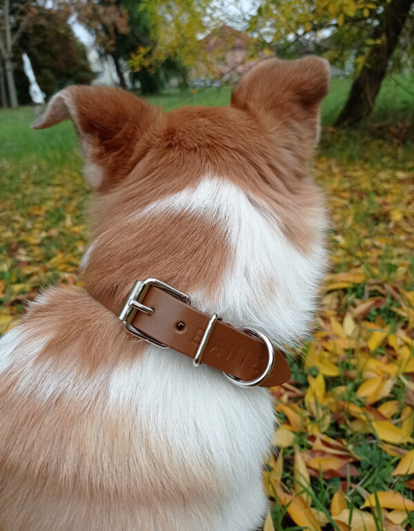 MAJA dog collar details - Brown - BANIZS