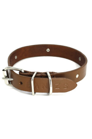 MAJA leather dog collar - Brown - BANIZS
