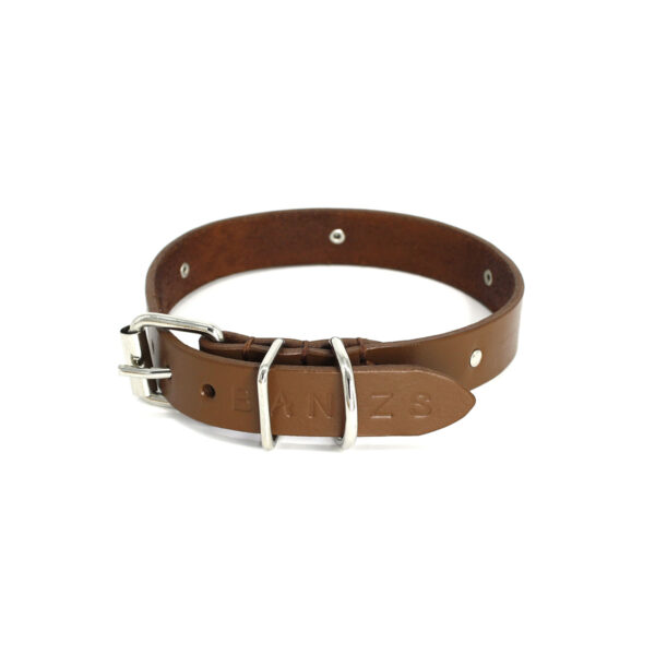 MAJA leather dog collar - Brown - BANIZS