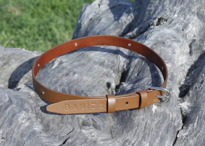 ALEXANDRA belt - Brown decorated with rivets - BANIZS